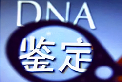 衡阳司法DNA鉴定如何办理，衡阳司法DNA亲子鉴定多少费用