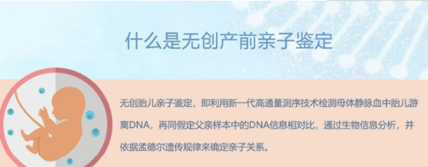 衡阳怀孕13周需要如何做亲子鉴定,衡阳怀孕亲子鉴定收费多少 衡阳怀孕13周需要如何做亲子鉴定,衡阳怀孕亲子鉴定收费多少